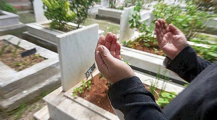 Şanlıurfa'da 7 kişi hayatını kaybetti