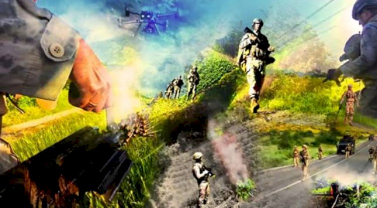 Uyuşturucuya Ağır Darbe: 7,5 Milyon Kök Kenevir Ele Geçirildi