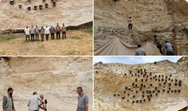 Birecik'te Kelaynak Yavruları İçin Örnek Önlem